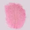 Ostrich Feather Plume Colorful Feathers For Crafts Costume Supplies Table Wedding Birthday Centerpieces 12Colors Choose Hh9-2119 Abuo 646 V2