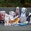Custom Po Pet Pillow Spersonalizowany DIY Pies W Kształcie Twarzy Poduszki Pluszowe Zwierząt Rzuć Poduszkę Sofa Dekoracyjny Pamiątkowy Prezent 210716