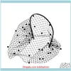 헤어 보석 보석류 클라프 바렛 씨, 우아한 진주 흰색 베일 er 얼굴 머리띠 aessorie for Women Crystal Bridal Net Mask Birdcage Vei