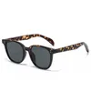 Square Retro Rice Nail Men Women Sunglasses Cat Eye Fashion Shades UV400 Vintage Sun Glasses Anti Blue Light Transparent Lens6765017
