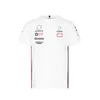 2021 Team F1 Racing Suit T-shirt POLO Shirt Men's Short Sleeve Racing Speed Racing Suit Customize Same Style265q