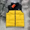 Winter Men Women Down Vests Youth Fashion Sleeveless Vest Coat FW Men's Casual Letter Print Jackets Womens Colorful Jacket Wholesale