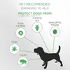 Hondafstotende halsbanden Vlooien en tikken Preventie voor honden Veilige verstelbare natuurlijke hypoallergene kraag aan CAT One Size Past Alle 25 Inch 8 Insect Month-bescherming B17