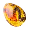 Decoratieve objecten beeldjes 5.5 * 4 * 2 cm decoraties diy ambachten geschenken edelsteen hanger insecten amber cadeau kleding juwelen ornament