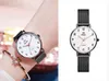 Watches, ladies, simple, quartz movement, round, fine steel strap, alloy case, mineral reinforced glass, stylish, elegant, compact,