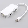 Leverans Mini DP DisplayPort till VGA DVI -adapter 3 i 1 kabeladaptrar med detaljhandelsförpackning287Z