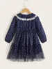 Kleinkind-Mädchen-Kleid mit Spitzendetail, Peter-Pan-Kragen und Netzsaum SIE