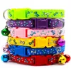 HELA 24 PCS BENPRYCK CAT COLLARS MED BELLS BUCKLE BRACKAWAY PET HUND HALBALE FÖR DUG TAG CATS Tillbehör PET PRODUKT P96281644275