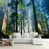 Personnalisé 3D peintures murales papier peint Nature brouillard arbres imposants forêt soleil Photo papier peint salon Mural Papel De Parede 3D