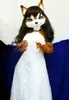 Costumes de mascotte Miss Zorro Costume de mascotte Costume Carnaval Tenues de fête Taille adulte Furry Animal Mascotte