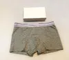 편안한 Balencaigalies Rainbow Balencigalies High Men Boxers Underwears Underpants 통기성면 품질 Underpant Box Luxury Aezi