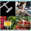 Verpakking JewelryPcs Plastic Goodsage Signage Clip kan worden gedraaid Bracket Stand Prijs Display Rack Sieraden Zakken Druppel levering 2021 C