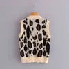 Pull tricoté à col en V pour femmes, automne printemps, vêtements d'extérieur, tricot décontracté, fille coréenne chic léopard 210430