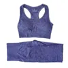 2pcs yoga set for women tracksuit workout gym suit fitnyoga clothing Push-up Sports Bra + seamlleggings sets X0629