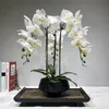 Grande arranjo de flores de orquídea artificial PU toque real sensação de mão piso decoração de mesa para casa buquê de alta qualidade sem vaso 210317