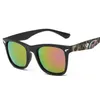 Nueva caja de gafas de sol personalizada Caja de moda de gafas de sol coloridas vidrio de tiburón de tiburón