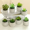 Couronnes de fleurs décoratives écologiques, 1 ensemble de plantes vertes multifonctions avec Pot en plastique, Mini fausses plantes succulentes, longue durée pour la fête