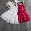 2020 Merk kant gelaagde jurk voor meisjes mesh prinses verjaardagsfeestje jurken elegante prom jurk 3-8Y kinderen kinderkleding 65 y2