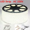 100m / rolka 3014 AC 220 V Soft Light Strip 120LED / Meter Wodoodporna lampa IP65 z wtyczką wtykową fabryczną hurtownie DHL LED paski
