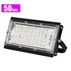 50W 100W LED Grow Lights 220V purple Phyto Light With Plug Plant lamps For Greenhouse Hydroponic Flower Seeding2705226
