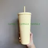 2021 Starbucks Duplo Barbie Cor-de-rosa Durian Durian Straw Copo Tumblers Sereia Plástico Água Fria Copos de Café