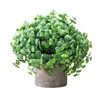 3Pcs Set Simulation Eucalyptus Mini Potted Flower Material Artificial Green Plants for Indoor Home Office Desk Decor Fake Greenery Plant Bonsai