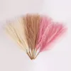 45cm Faux Pampas Grass Dried Reed Flowers Bouquet Artificial Pompous Grass Fake Plant Home Room Decor Wedding Flower HY0293