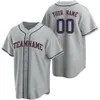 Men's Custom Houston Baseball Jerseys Make Your Own Jersey Sports Shirts Personalized Team Name and Number Stitched