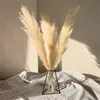55cm Pampas Grass Decor Large Natural Dried Flowers Bouquet Wedding Vintage Style for Home Valentine's Day Gift 210925