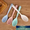 Kitchen Accessories wheat straw Spoon Portable High Quality Eco friendly tableware Sale Restaurant