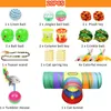 Cat Toys 20 PCS Kit Collapsible Tunnel 3 Holes Inomhus Kitten Feather Teaser Wand Möss Balls Bell Pet Teeth Teth Teth Fun Channel266a