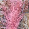 装飾的な花の花輪50-60g本物の乾燥したナチュラルフレッシュフォーエストアスパラガスバンチドライ保存植物永遠の草の枝F294y
