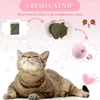 3 st Simulering Ljud Cat Ball Leksaker för katter Pet Interaktiv Catnip Funny Toy Självspel Kattunge Toy Training Supplies för Cat 210929