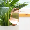 Automatyczne podlewanie Urządzenie Cute Ptak Kształt Dripper Water Seafage Wyposażenie Houseplant Self-Drip System nawadniania odpowiedni do gleby nawilżającej