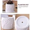 2 Stili Ceramic Punzione succulenta piantatrice da giardino per piante Bonsai Pot Bamboo Piante set di banchi Y09101209272