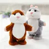 15cm Talking Hamster Fare Pet Peluş Oyuncak PP Pamuk Pamuk Sevimli Yumuşak Hayvan Bebek Konuşma Ses Kaydedici Tekrar Hamster Tekrar Komik Öğren 1032299