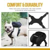 Mochila Pequeno Cão Oneetigris Eureka K9 Treinar Tote Pack + Saco de Litter Saída para Cão Pequeno Viagem Camping Preço de Fábrica Especialista Qualidade Última Estilo Original Status