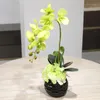 Top Quality Touch Butterfly Orchid Potted Set Artificial Hydrangea Silk Flowers Bonsai Plants Pot Culture Wedding Home Decor Decor2062859