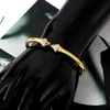 Länkkedja högkvalitativ titanstålarmband pilspetsar kristallbockad mode rostfri armband för älskare smycken Kent22