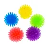 Fidget Hand Stress Relief Toy Little Ball Foot Massage Animal Cat Toys Vent Pers Bayberry Balls 0497