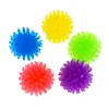 Fidget Hand Stress Relief Spielzeug Kleine Kugel Fußmassage Tier Katzenspielzeug Entlüftungspresse Bayberry Balls 0497