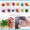 Nail Salon Health Beautynail Art Decorations 4Boxes Dried Flowers Butterfly Glitter Stickers Sequins Flakes Supplies Gift Decoration Aessori