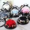 Fleurs séchées naturelles la belle et la bête éternelle vraie rose dans un dôme de verre avec LED Valentine mariage noël décor à la maison cadeau