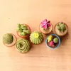 7pcs mini artificiale carnoso cactus pianta reale tocco palm bonsai paesaggio decorativo fiore talbe decorazione resina miniatura