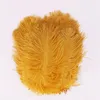 Ostrich Feather Plume Colorful Feathers For Crafts Costume Supplies Table Wedding Birthday Centerpieces 12Colors Choose Hh9-2119 Abuo 646 V2