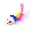 Colorful Feather Grit Small Mouse Cat Toy For Cat Feather Funny Playing Pet dog Cat Small Animals feather Toys Kitten GGA4248