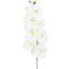 10ピース/ロットライフレイク人工蝶蘭の花の絹Phalaenopsisの結婚式の家のDIYの装飾偽の花1464 V2