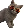 Roliga Pet Cat Solglasögonglasögon utomhusfestglasögon hundkläder Schnauzer Teddy Corgi Puppy Supplies Accessories2907
