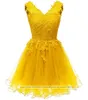 2022 Sexy Prinses V-hals Kant Mini Prom Dresses met Lace-Up Tule Plus Size Homecoming Cocktail Party Speciale Gelegenheid Toga Vestido Fiesta BH05