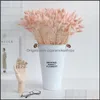 Dekoratif Çiçekler Çelenkler Şenlikli Parti Malzemeleri Ev Bahçe 60 Kaynaklanıyor Pampalar Çim Kurutulmuş Çiçek Kuyruk Doğal Bitkiler Çiçek Buket Decora